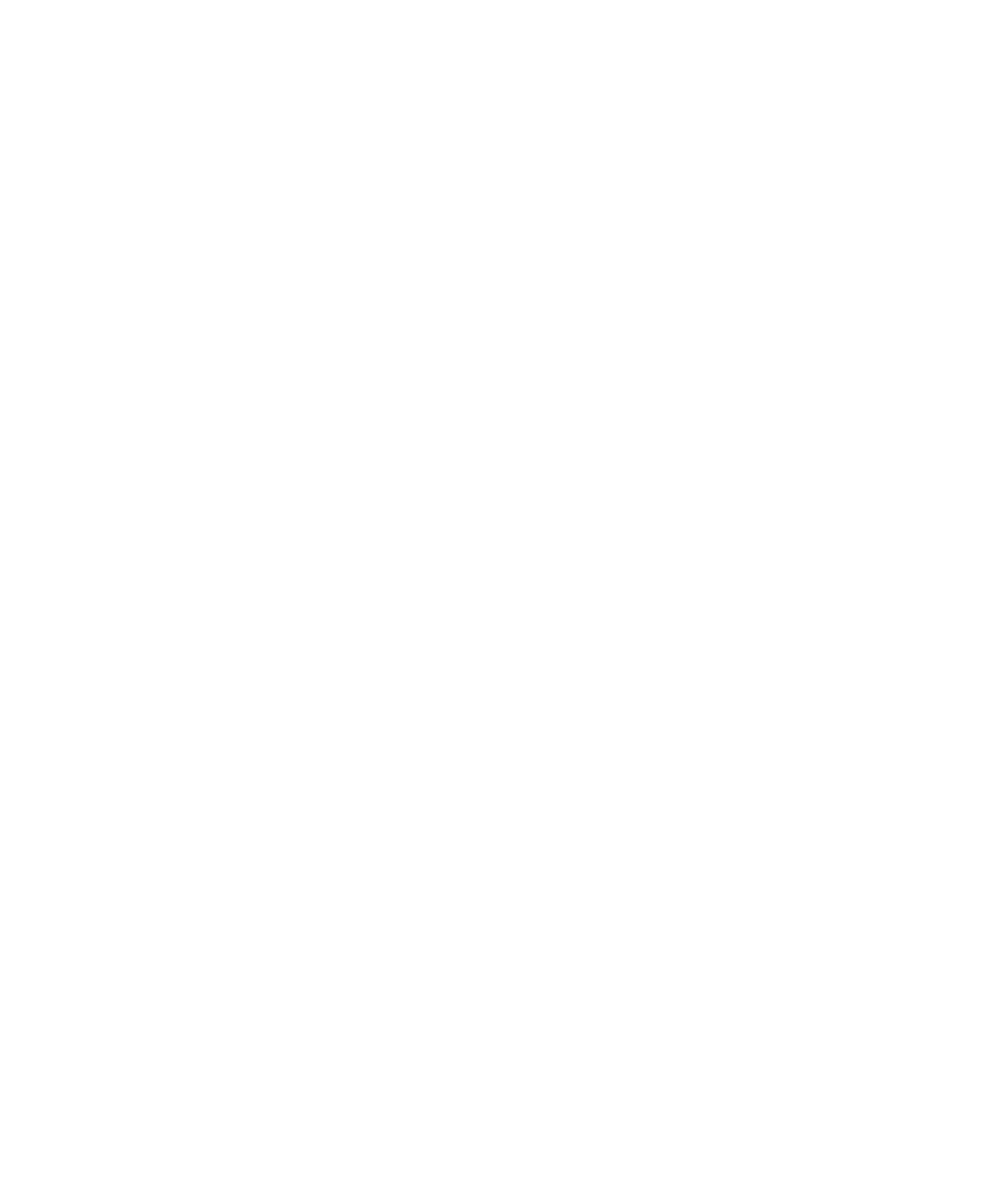 Logo de iris